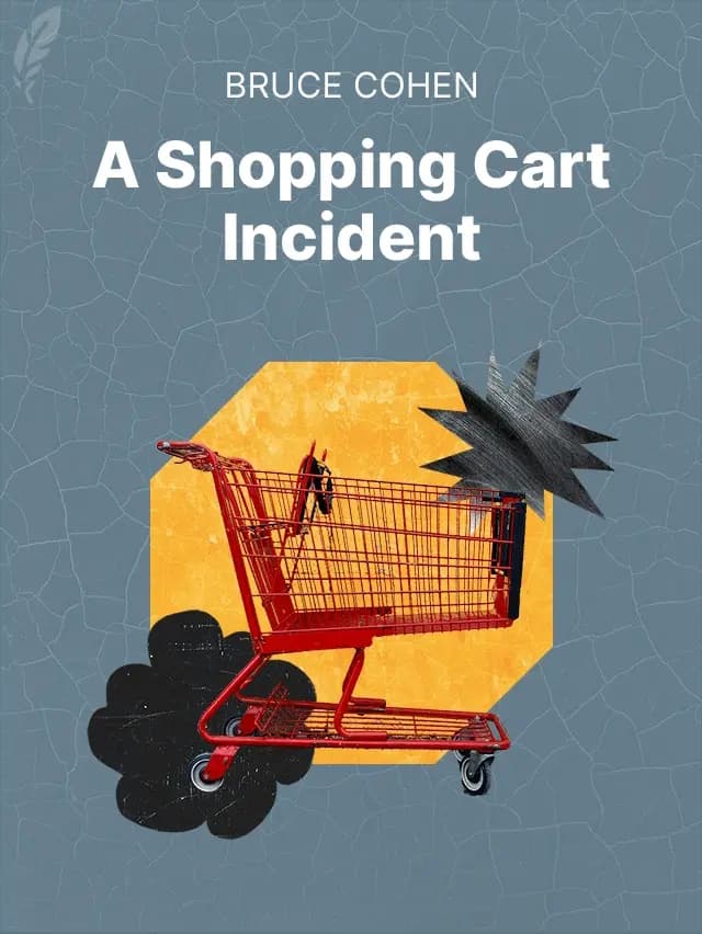 A Shopping Cart Incident by Bruce Cohen designed by Fabuly - Free Classic Audiobooks App
