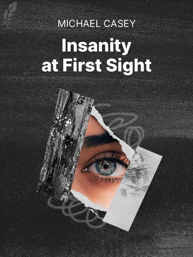 Insanity at First Sight by Michael Casey designed by Fabuly - Free Classic Audiobooks App